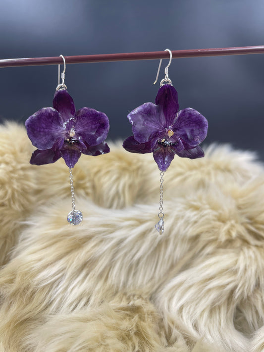 Aros orquídea circones blancos