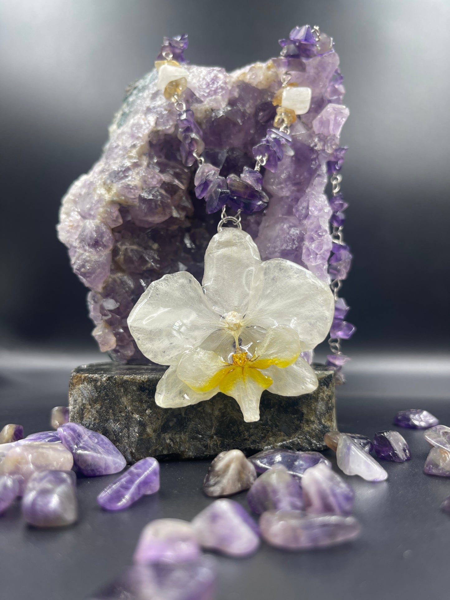 Amethyst Orchidee